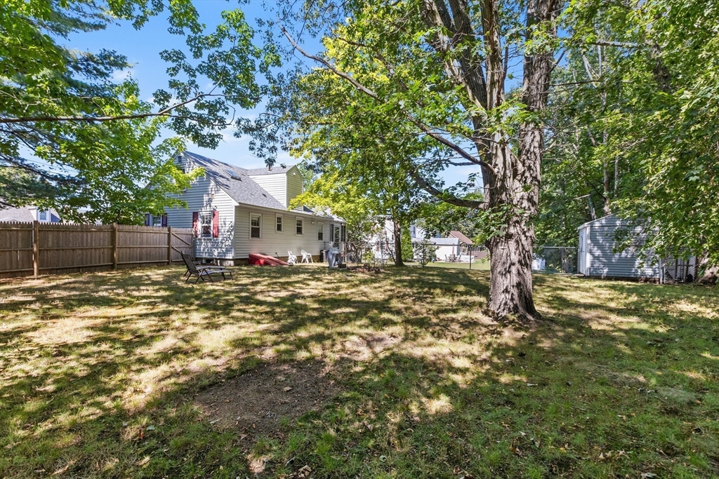 40 Bonad Road Stoneham, MA 02180 - Photo 25 of 38 a view of a yard with plants and large trees