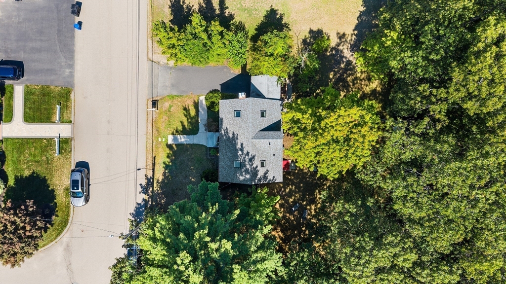 40 Bonad Road Stoneham, MA 02180 - Photo 27 of 38 a picture of a bunch of plants and trees