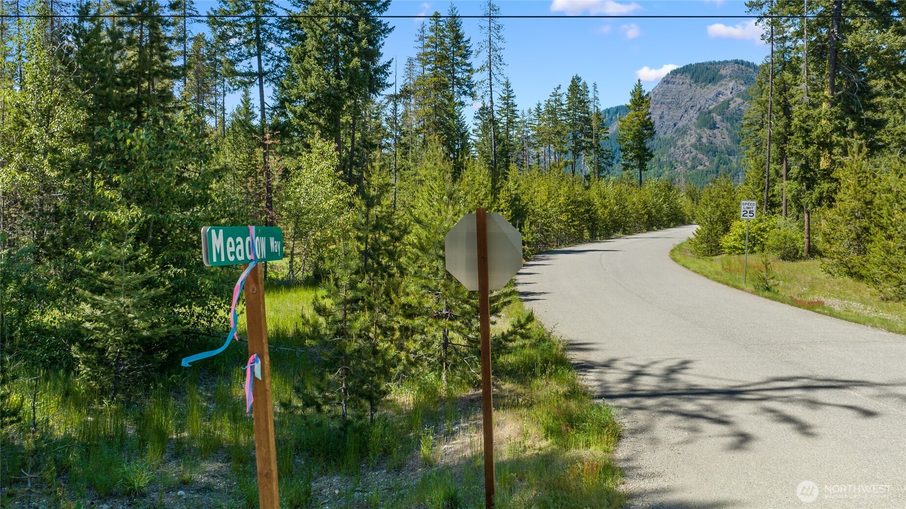a view of a garden with a tree