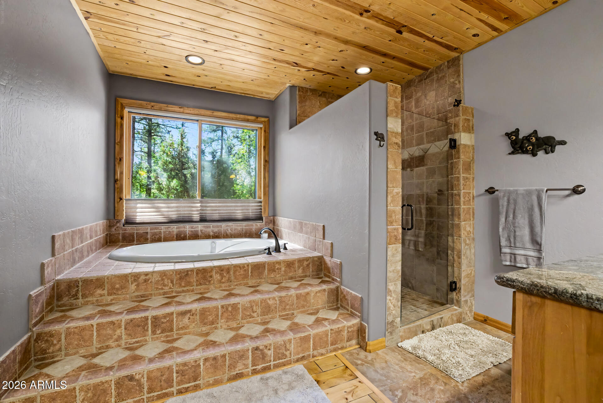1681 South Jimson Loop Show Low, AZ 85901 - Photo 31 of 105 31 - Boulder