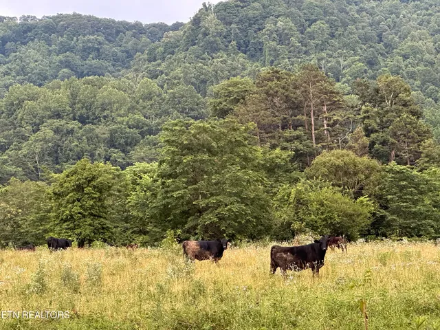 $299,000 | Blair Road, Dryden, VA 24243