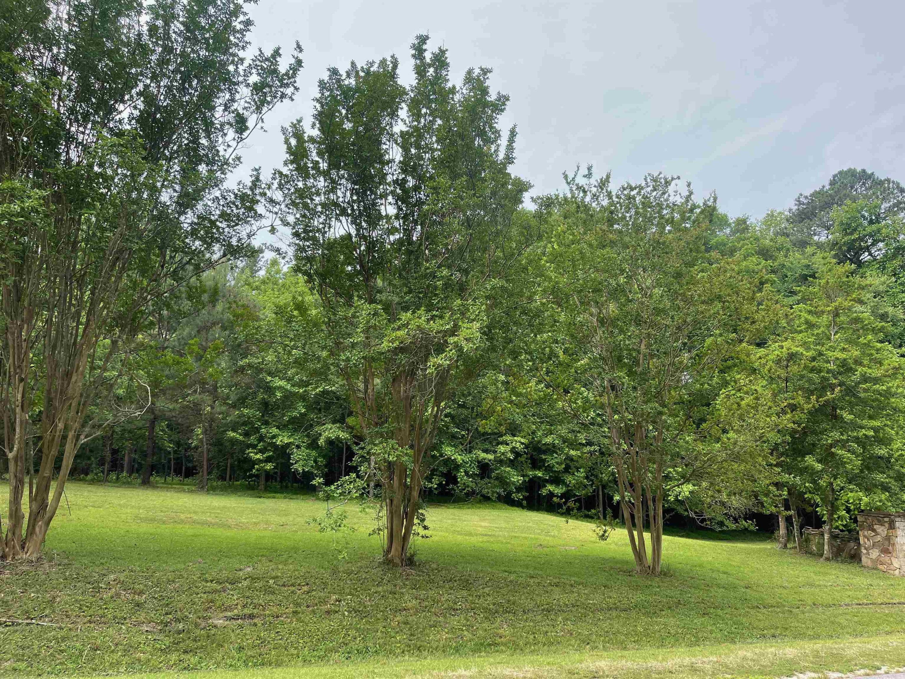 4208 Old Lewis Farm Road Raleigh, NC 27604 - Photo 1 of 14 Photo 1