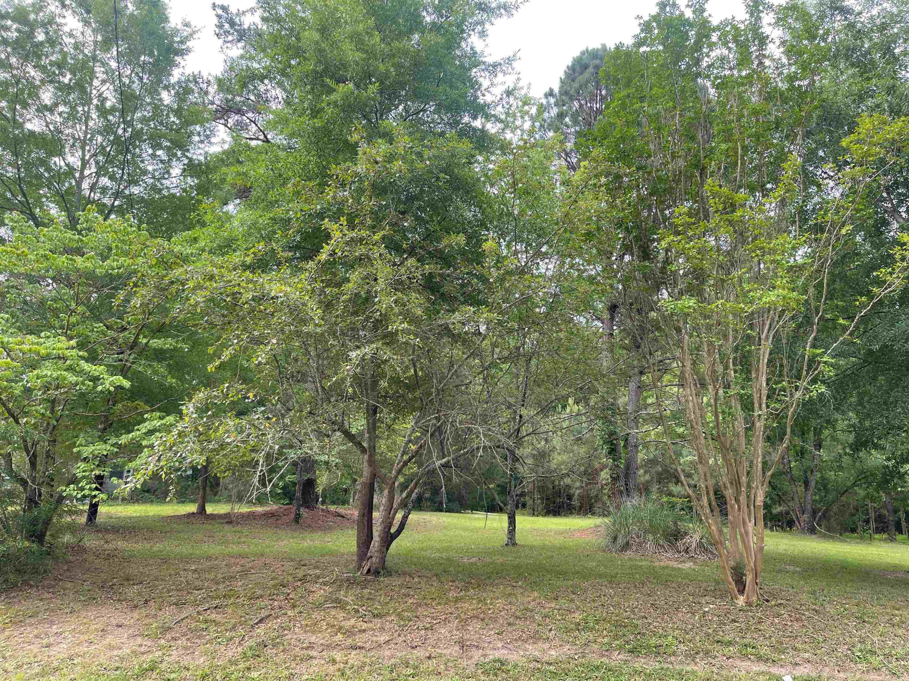 4208 Old Lewis Farm Road Raleigh, NC 27604 - Photo 14 of 14 Photo 14