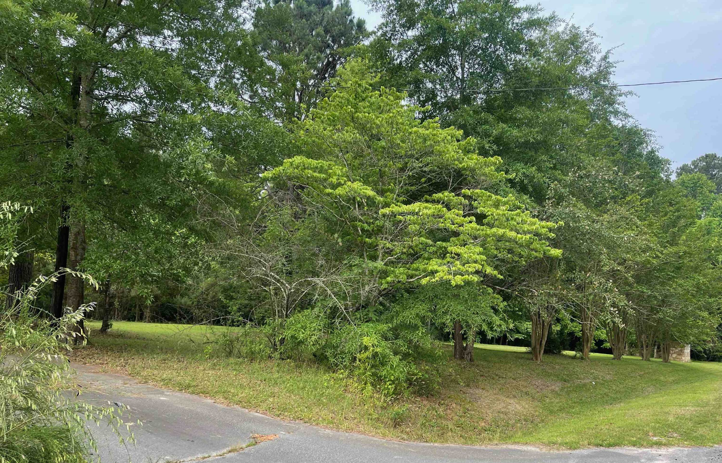4208 Old Lewis Farm Road Raleigh, NC 27604 - Photo 2 of 14 Photo 2