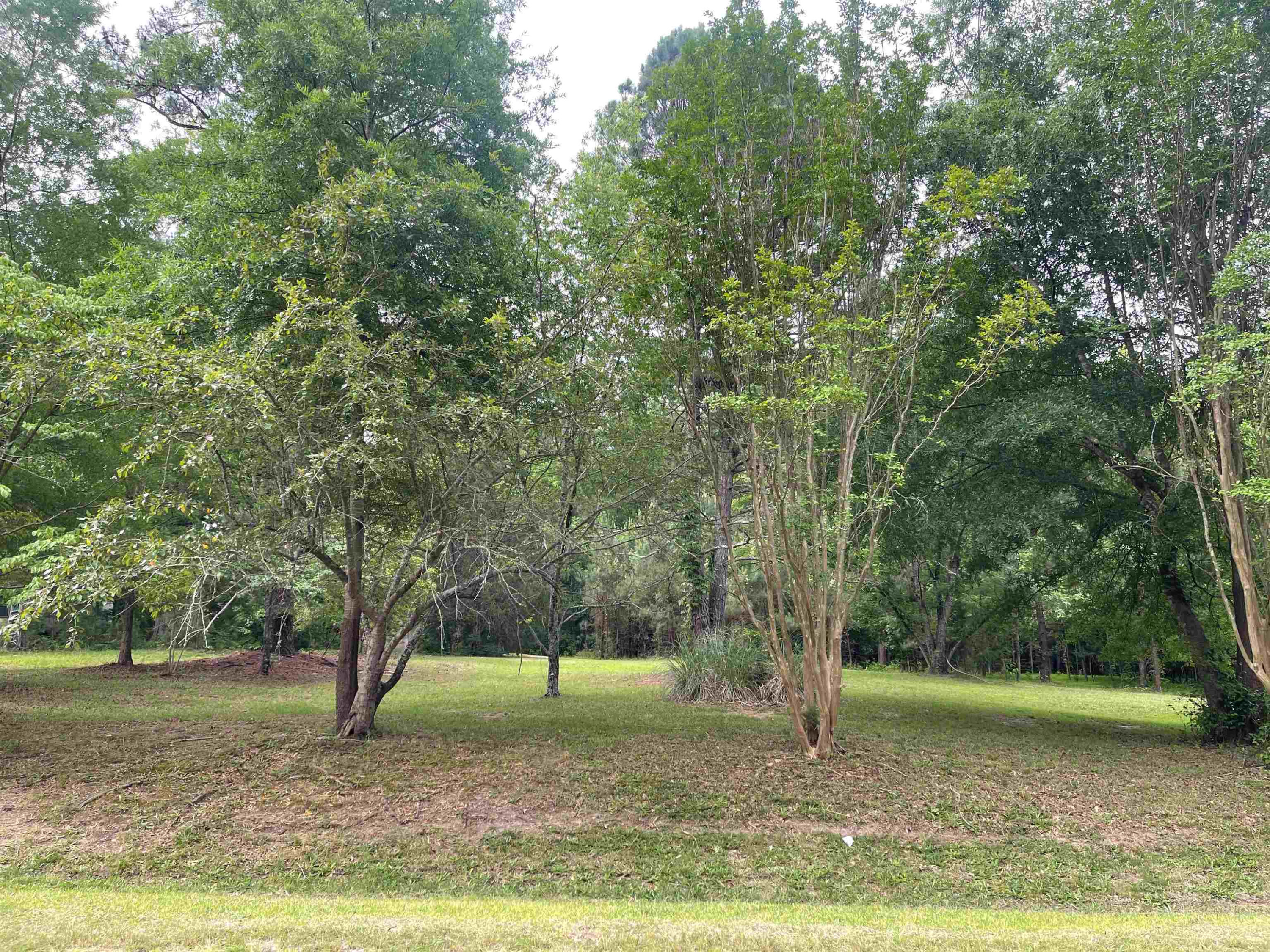 4208 Old Lewis Farm Road Raleigh, NC 27604 - Photo 4 of 14 Photo 4