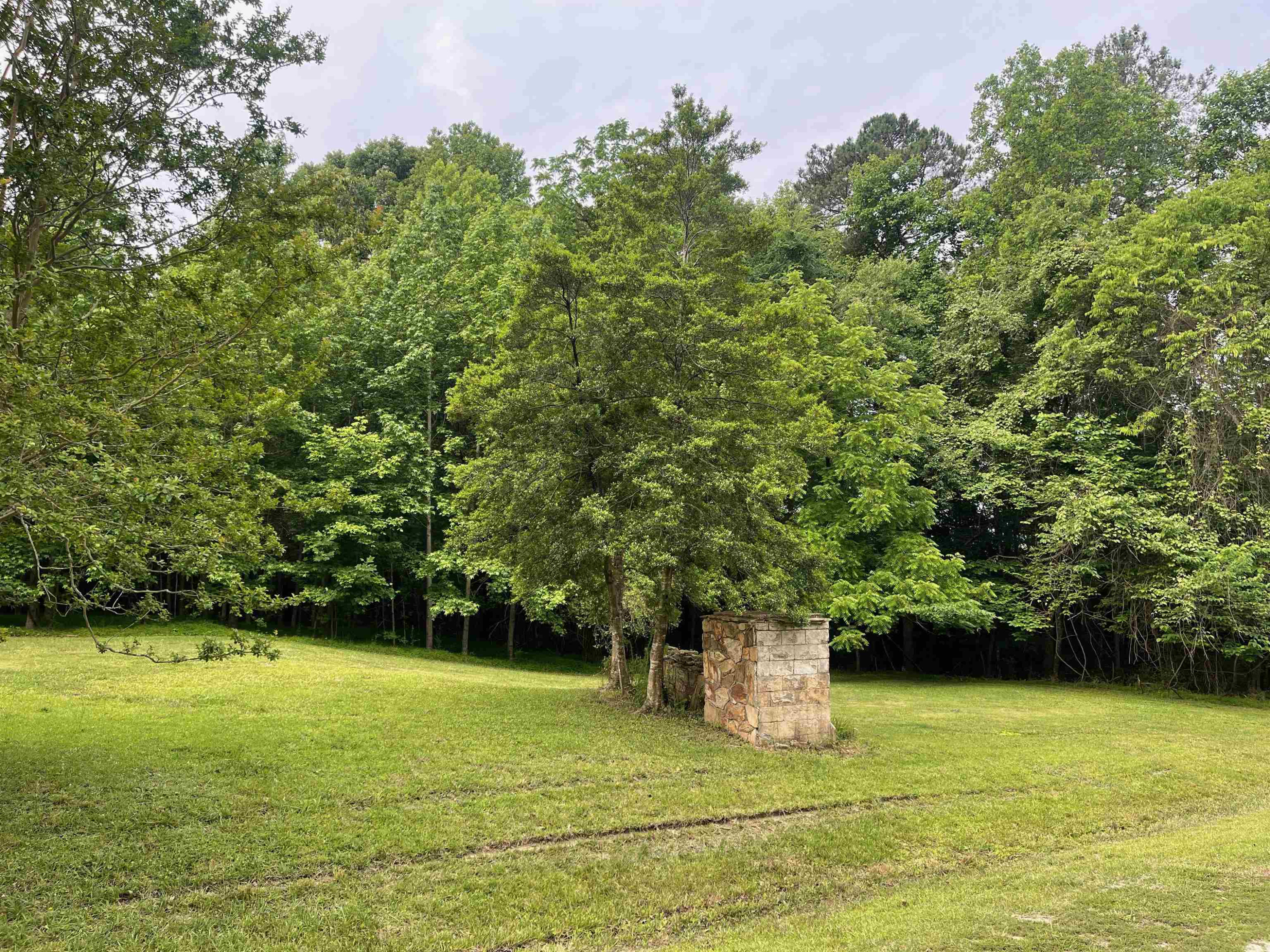 4208 Old Lewis Farm Road Raleigh, NC 27604 - Photo 5 of 14 Photo 5