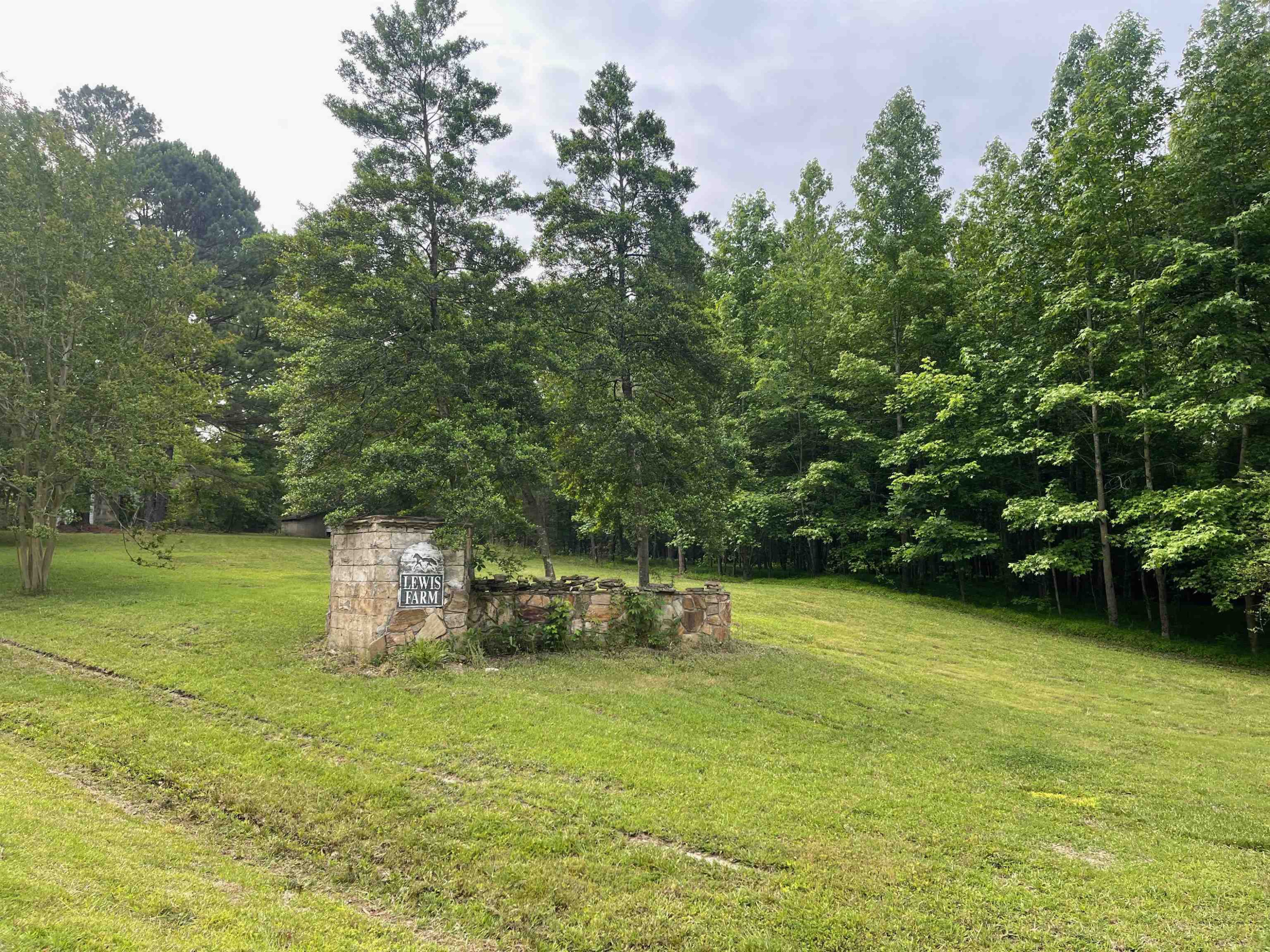 4208 Old Lewis Farm Road Raleigh, NC 27604 - Photo 7 of 14 Photo 7