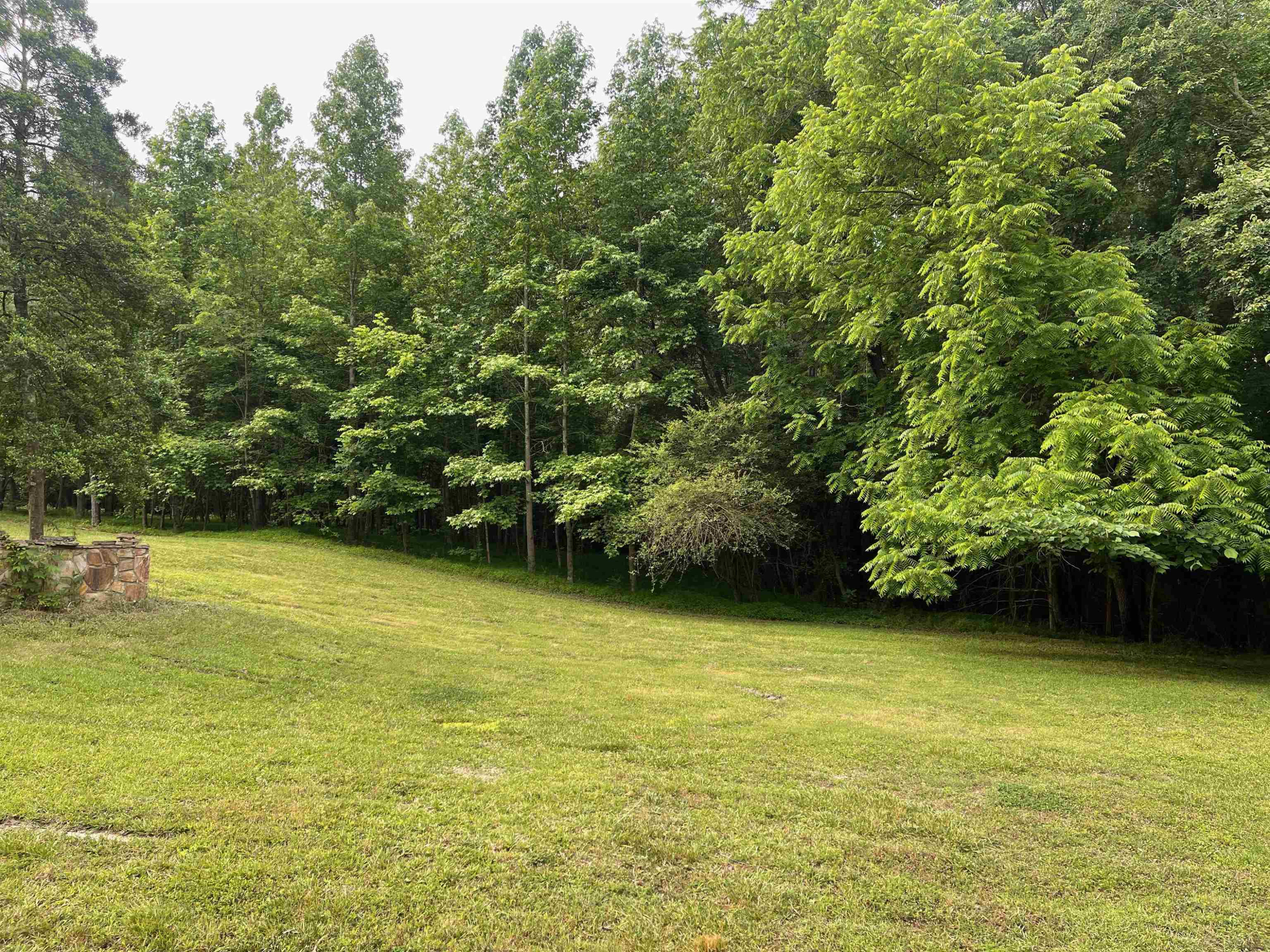 4208 Old Lewis Farm Road Raleigh, NC 27604 - Photo 8 of 14 Photo 8
