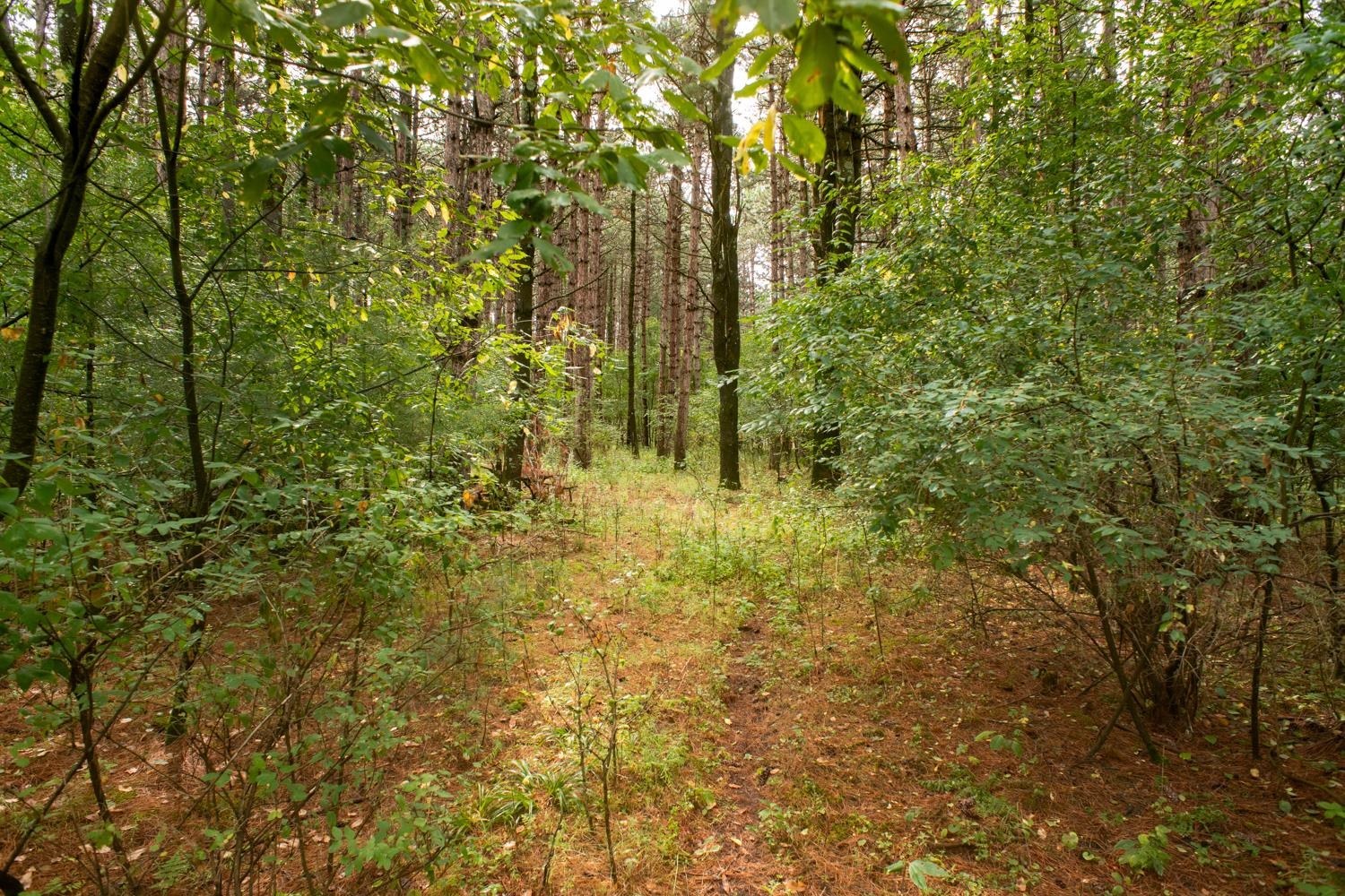 Deer Path, Unit 37 Hancock, WI 54943 - Photo 23 of 27 Gallery Image 23