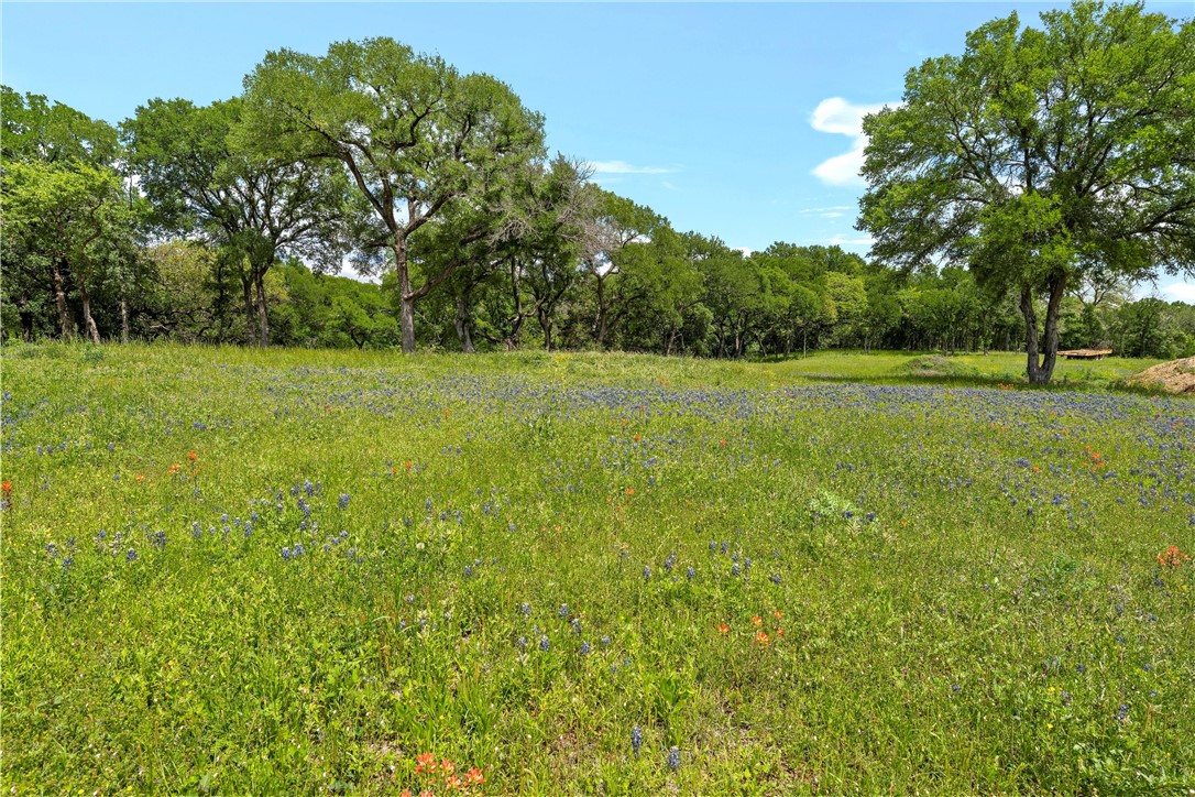 Lot 3 Bunnyview Drive Waco, TX 76708 - Photo 8 of 30
