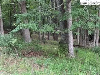 $24,900 | Lot #81 Prime Circle, Piney Creek, NC 28663