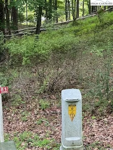 $24,900 | Lot #81 Prime Circle, Piney Creek, NC 28663