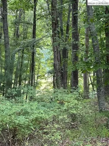 $24,900 | Lot #81 Prime Circle, Piney Creek, NC 28663