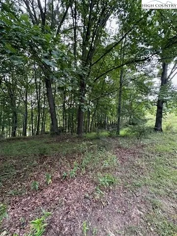 $24,900 | Lot #81 Prime Circle, Piney Creek, NC 28663