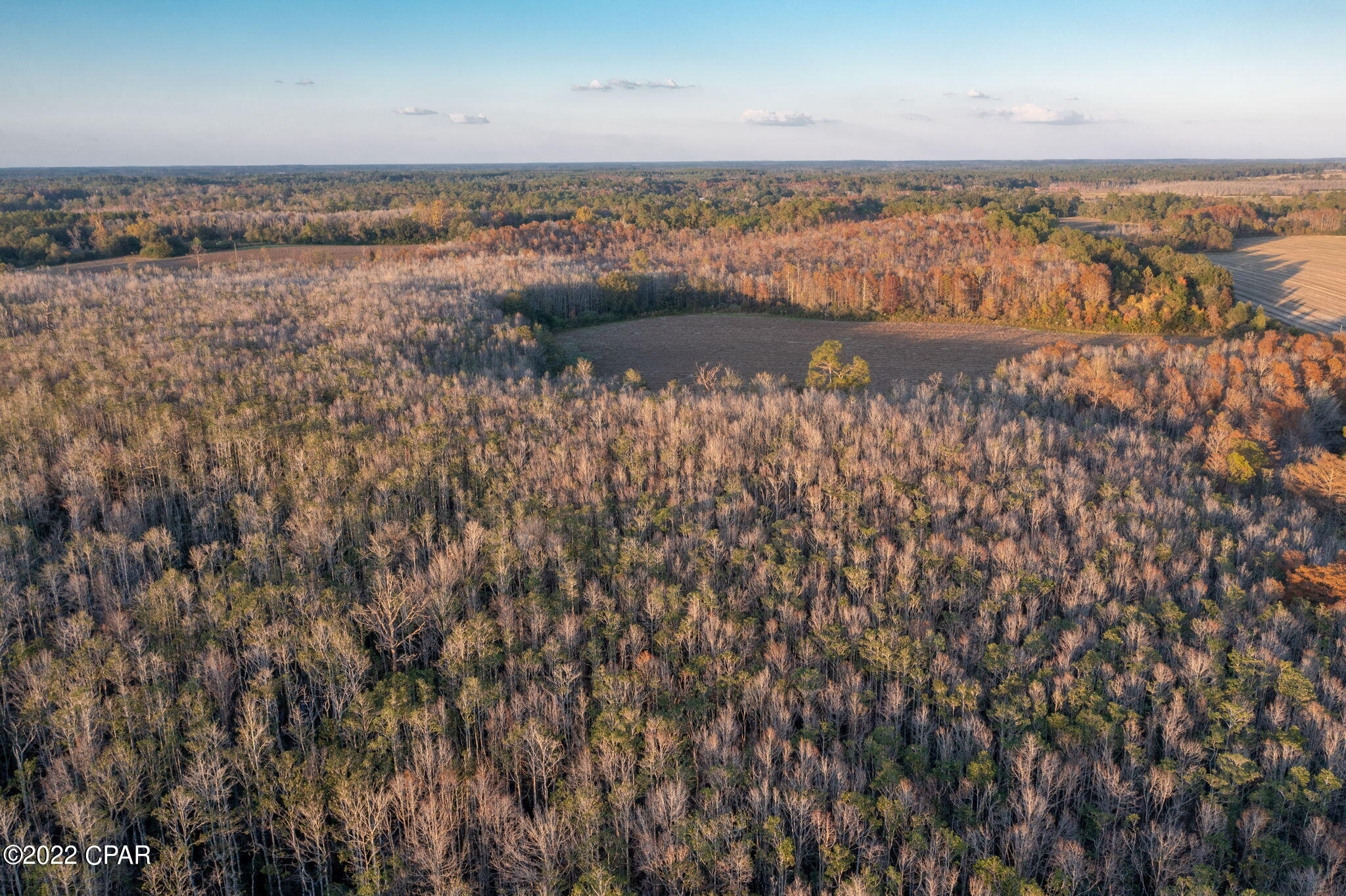 0 Josey Road Bonifay, FL 32425 - Photo 12 of 21 Gallery Image 12