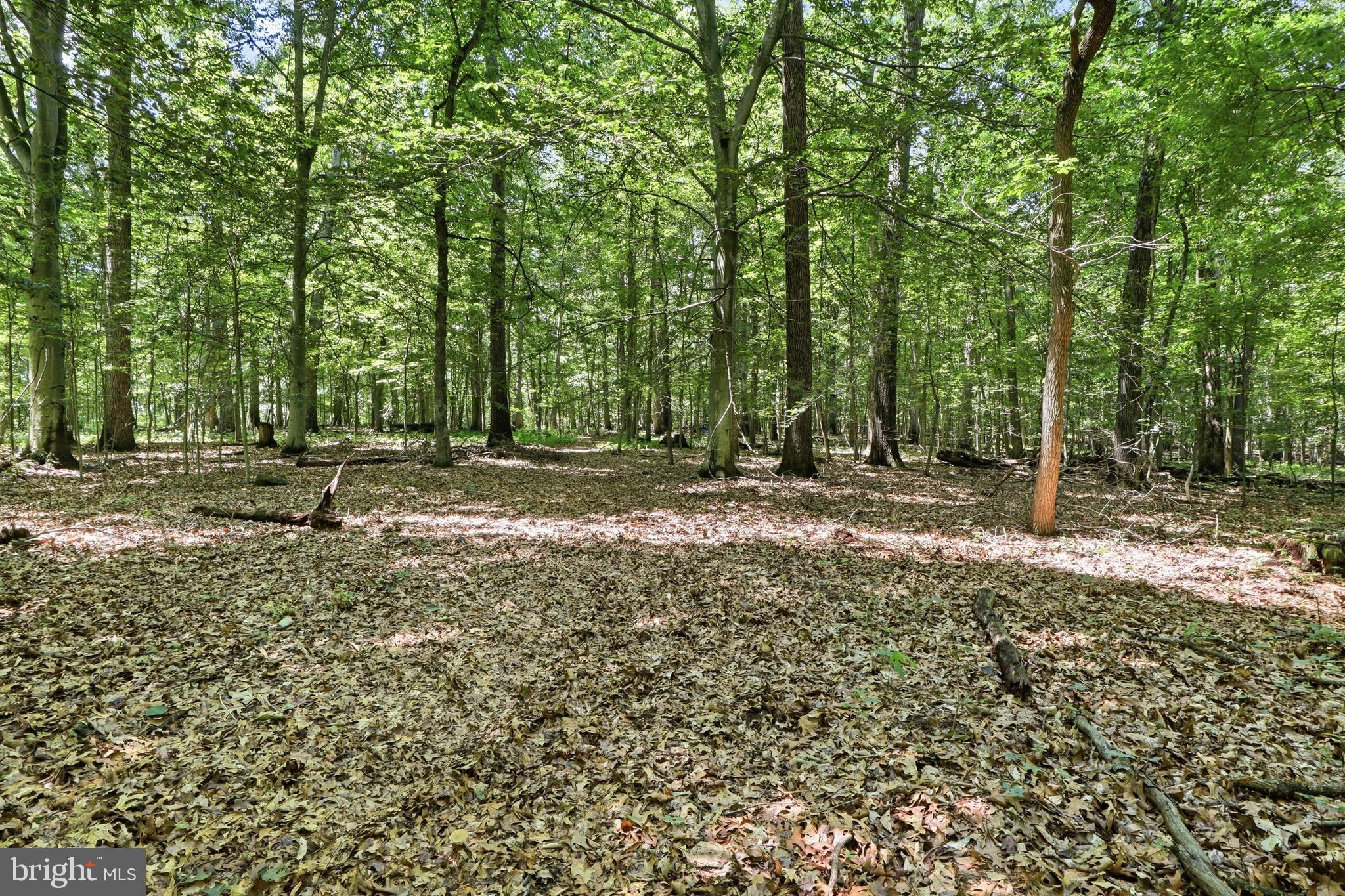 3555 Mill Green Road Street, MD 21154 - Photo 81 of 106