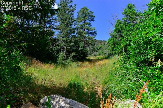 1118 Gold Camp Road Colorado Springs, CO 80906 - Photo 4 of 20