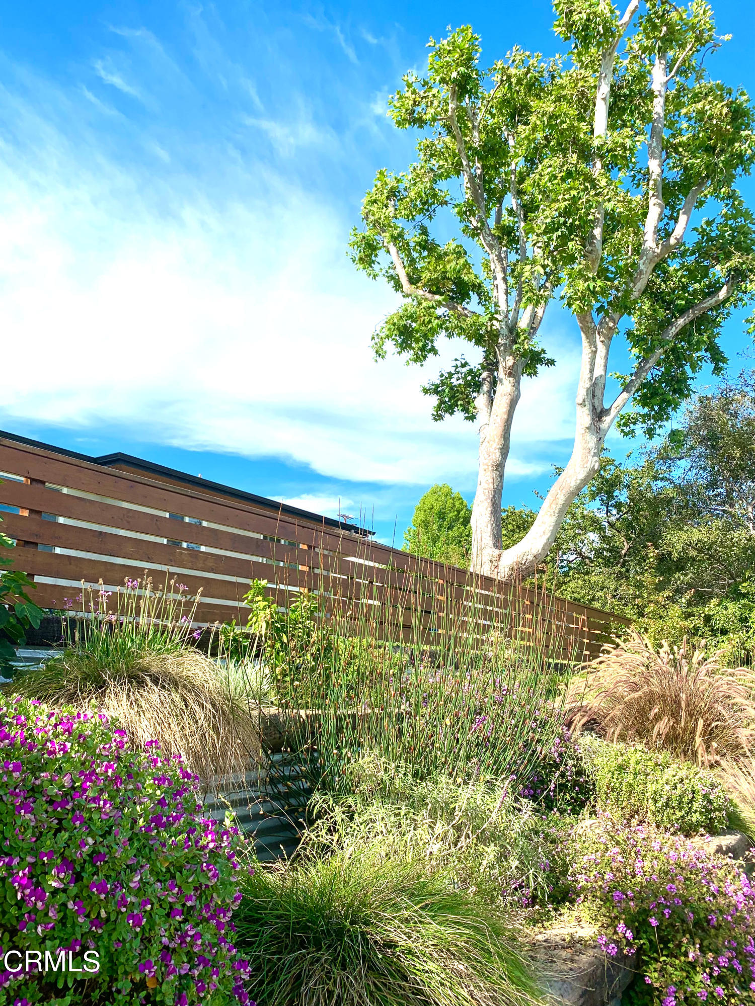 2803 Foothill Road Ventura, CA 93003 - Photo 46 of 50 IMG-8918