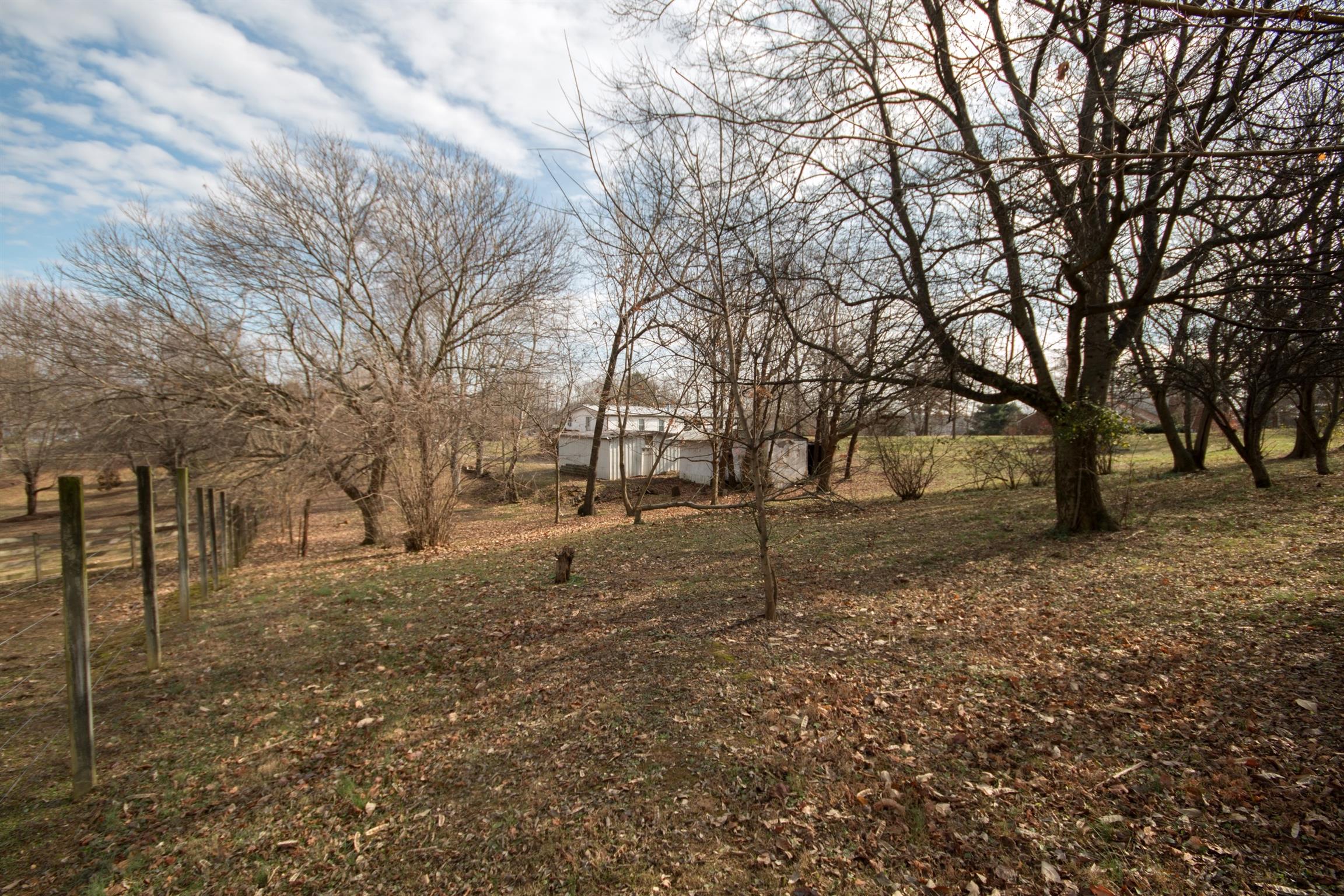 149 Mitchell Road Portland, TN 37148 - Photo 10 of 29 a view of yard covered with trees