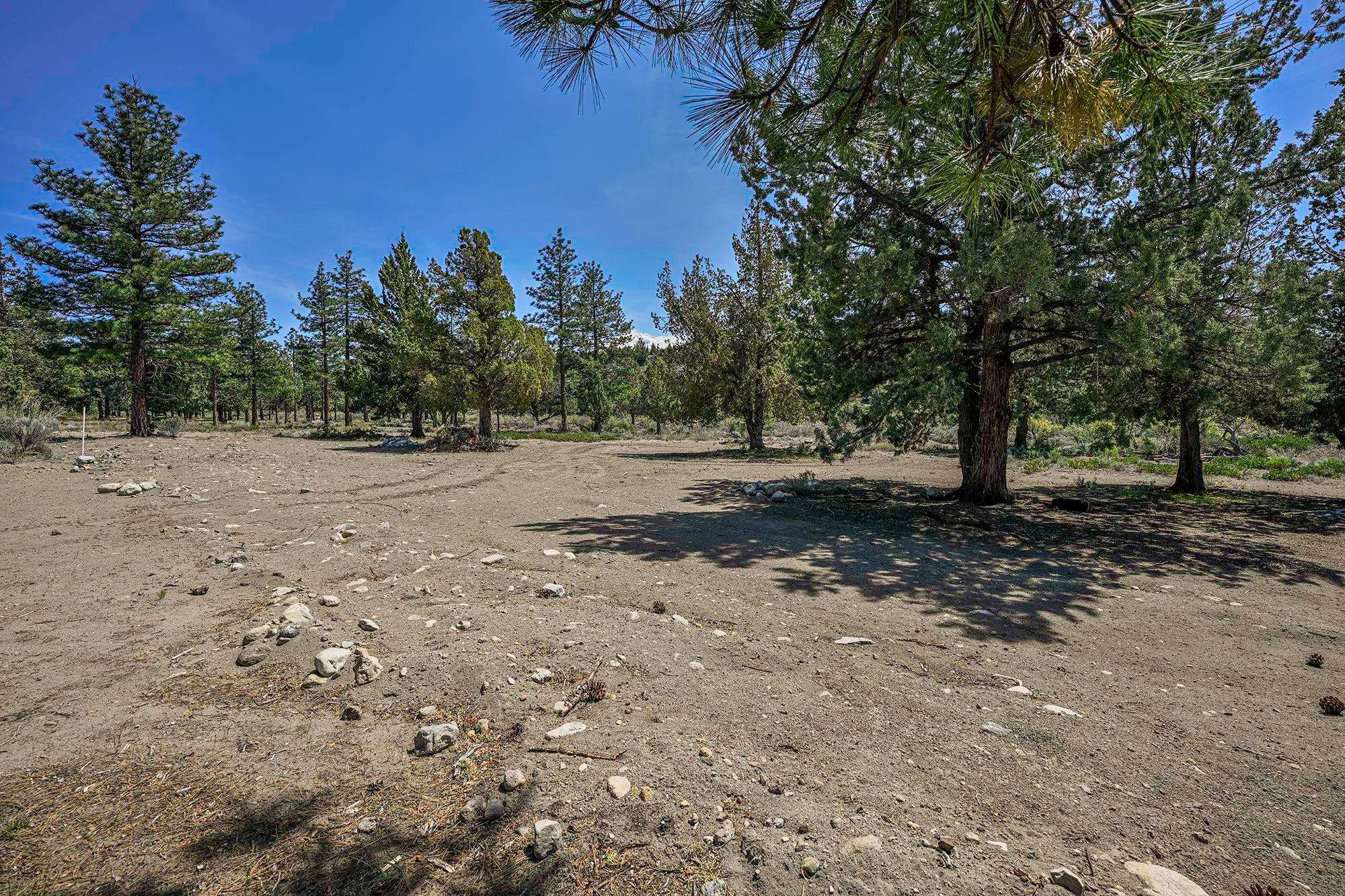 16344 Friar Road Weed, CA 96094 - Photo 44 of 47 Gallery Image 44