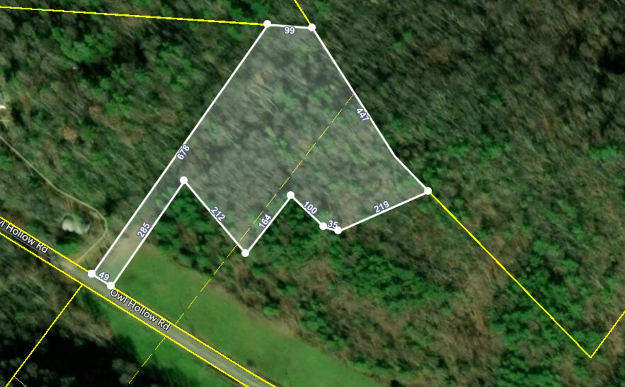 0 Owl Hollow Road Shady Valley, TN 37688 - Photo 1 of 7 Screenshot (3)