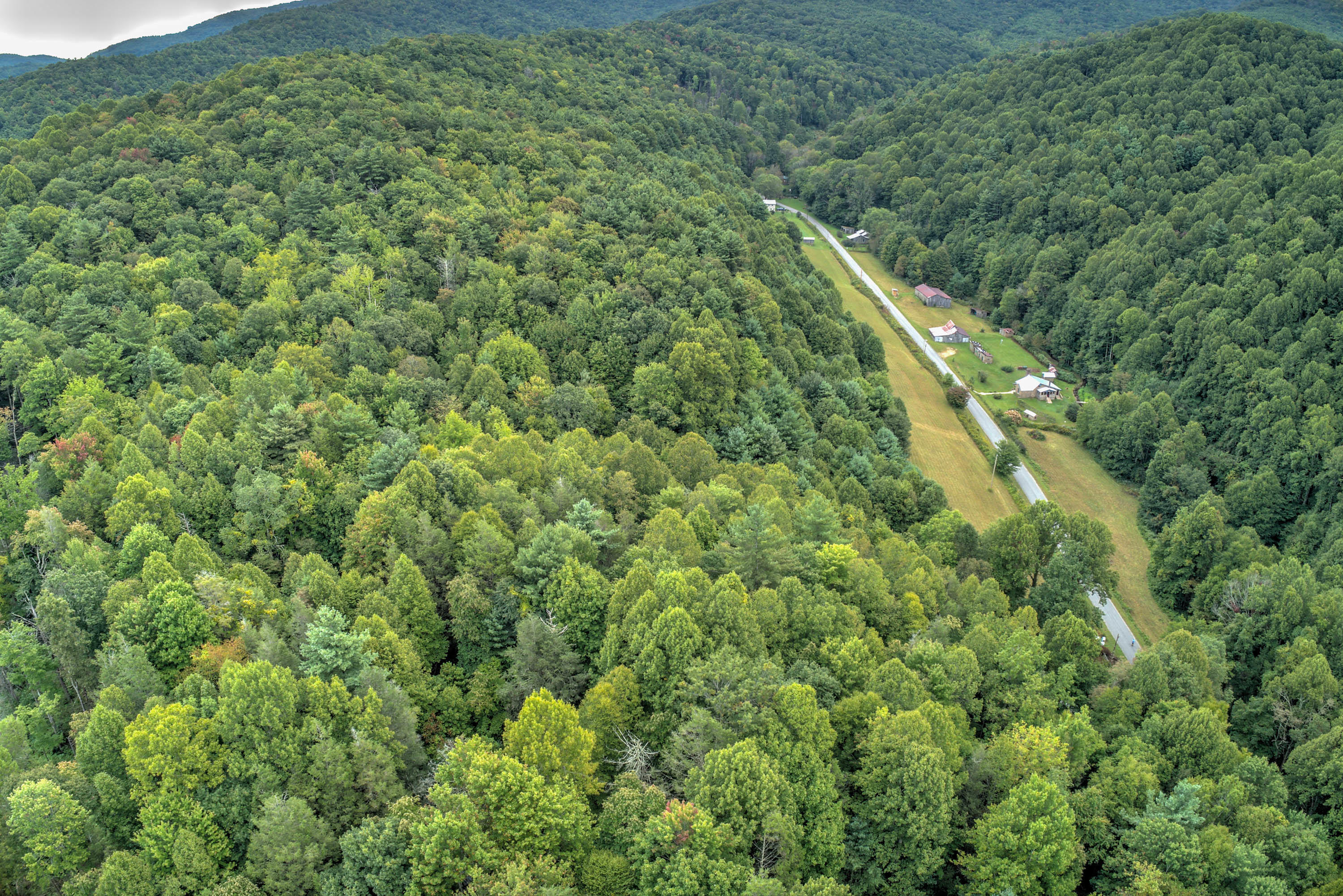 0 Owl Hollow Road Shady Valley, TN 37688 - Photo 5 of 7 Owl Hollow Rd-4