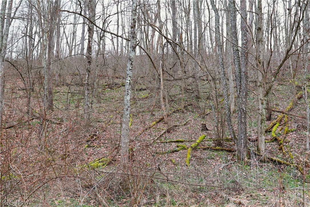 6030 Atkinson Creek Road Southeast Tippecanoe, OH 44699 - Photo 20 of 27