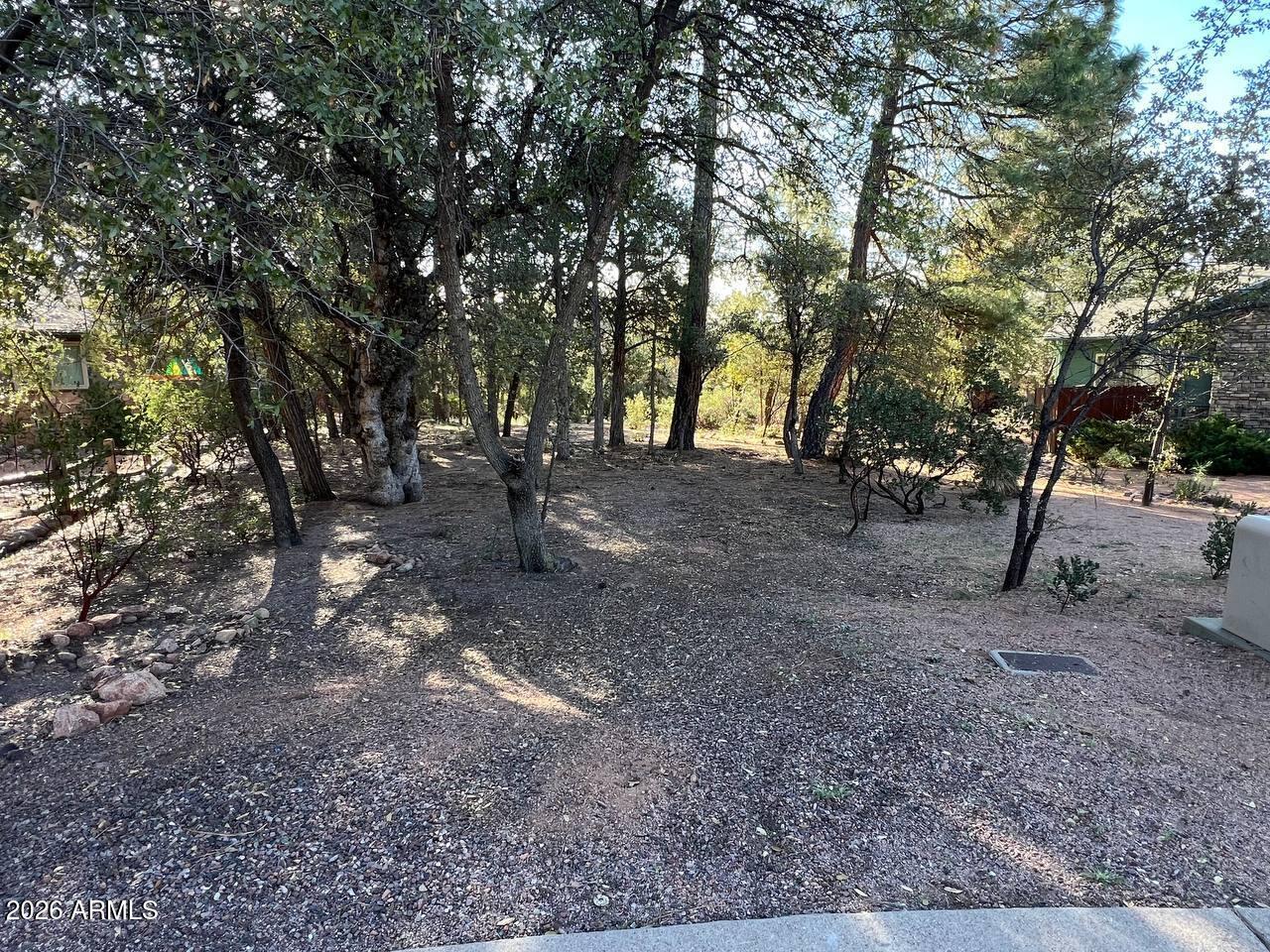 821 Eagle Ridge Circle Payson, AZ 85541 - Photo 5 of 7 a view of a yard with plants and trees