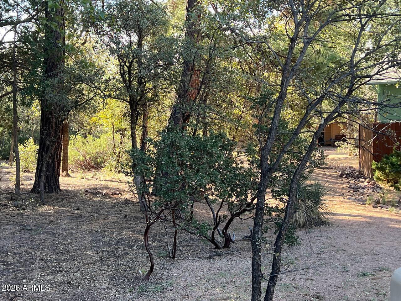 821 Eagle Ridge Circle Payson, AZ 85541 - Photo 7 of 7 a view of an outdoor space with trees