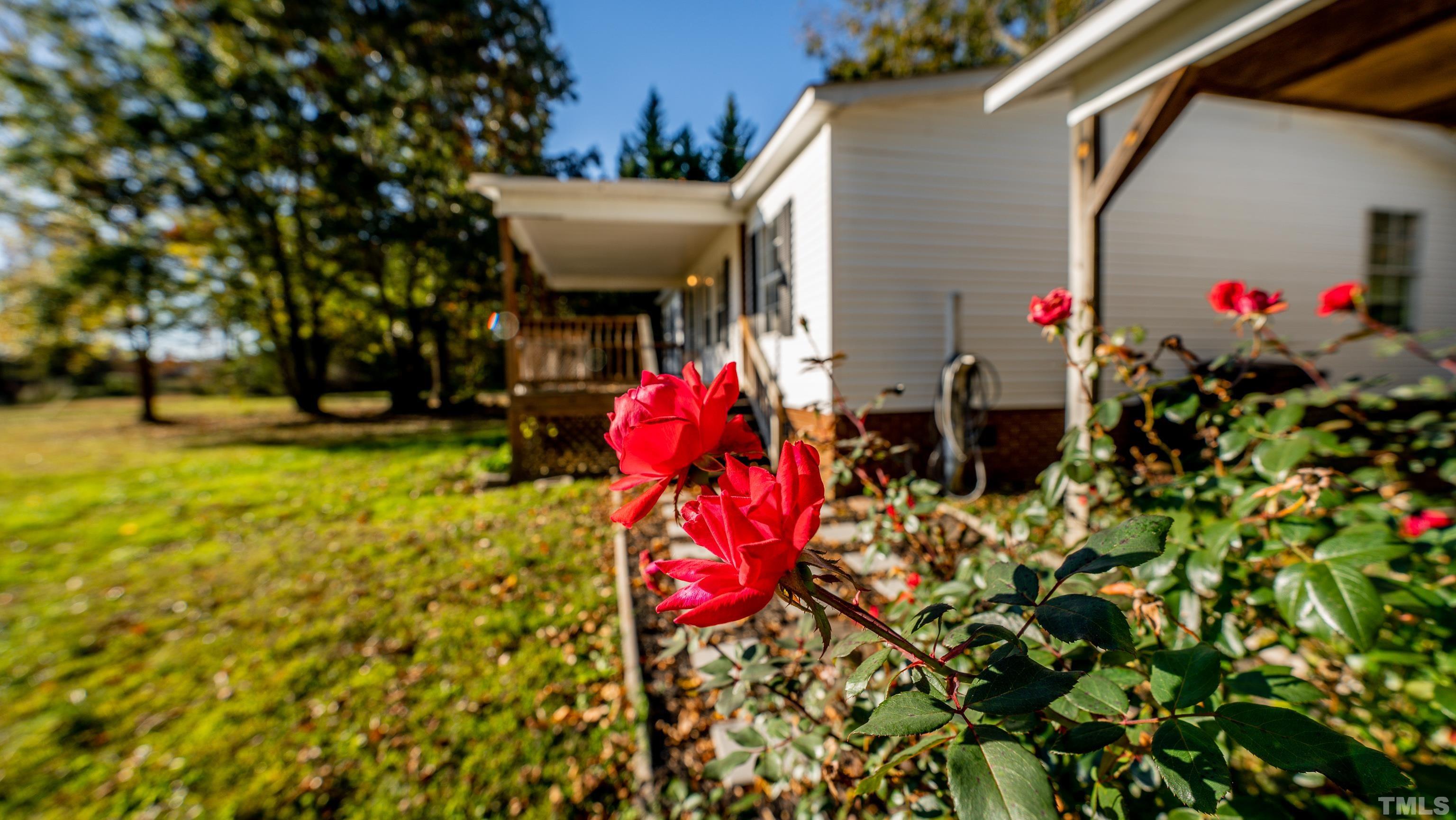 200 David Lane Roxboro, NC 27573 - Photo 21 of 38 a view of an outdoor space and a yard