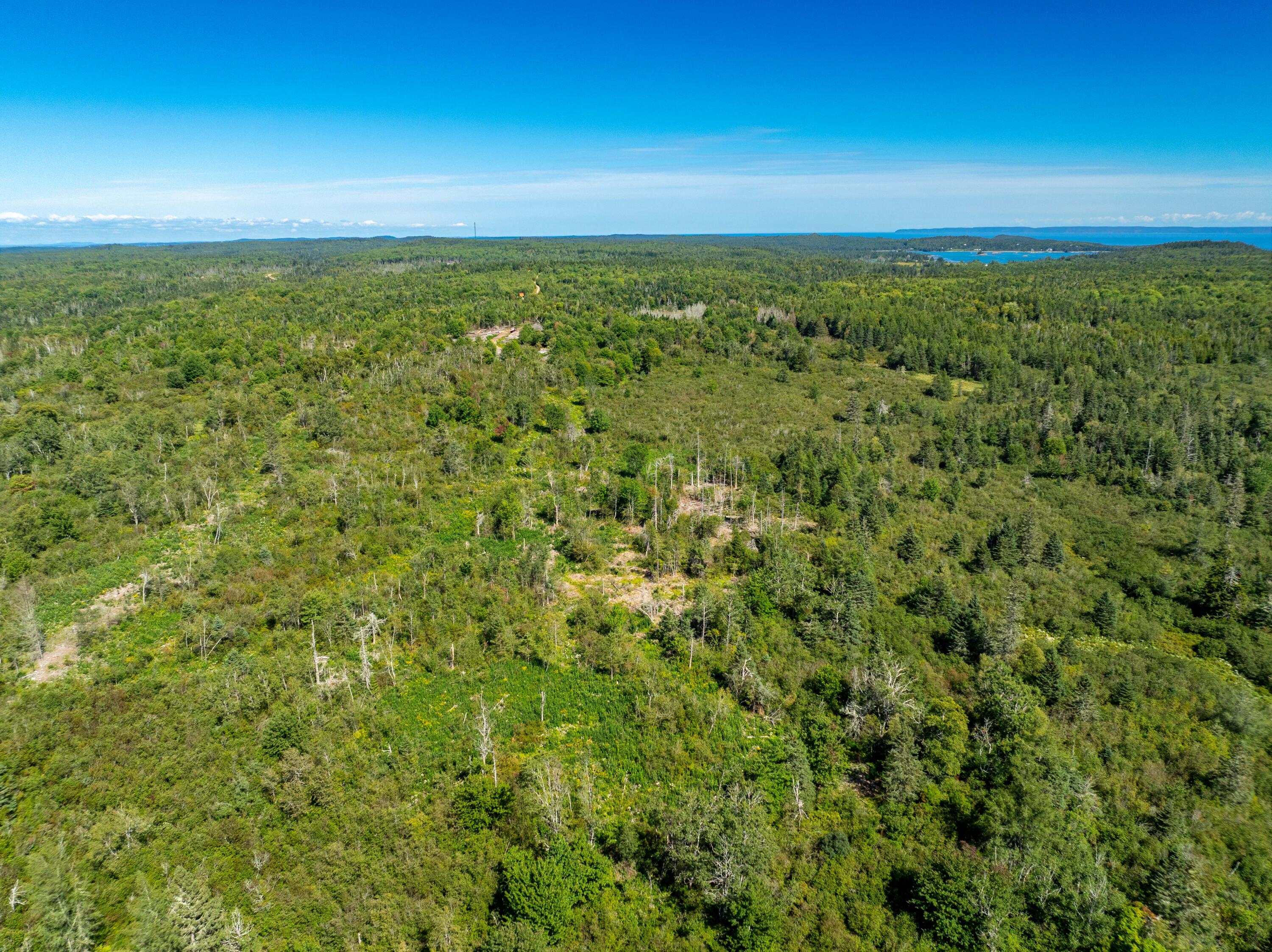 2 Map Lubec, ME 04652 - Photo 21 of 79 530+- acres Trescott Twp Maine (18 of 80