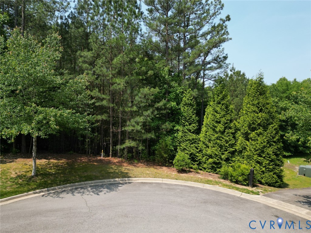 16151 Founders Bridge Terrace Midlothian, VA 23113 - Photo 2 of 14 a view of a yard with plants and a large trees