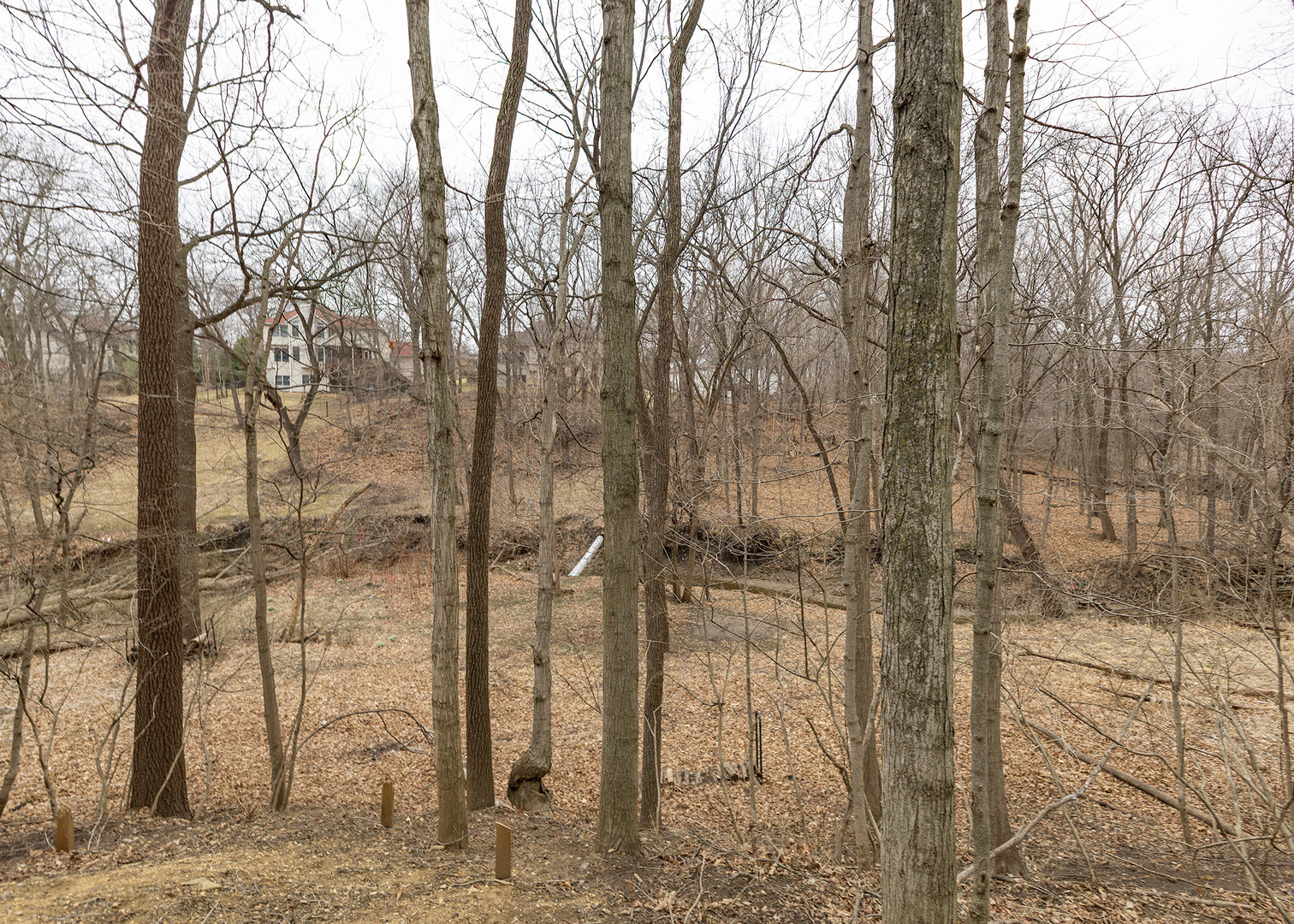 3305 11th Street Moline, IL 61265 - Photo 37 of 37