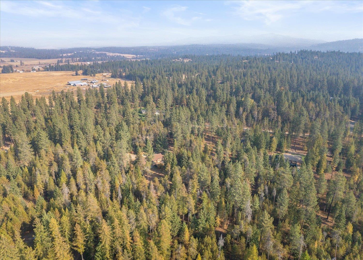 11224 East Whispering Pines Road Elk, WA 99009 - Photo 47 of 48