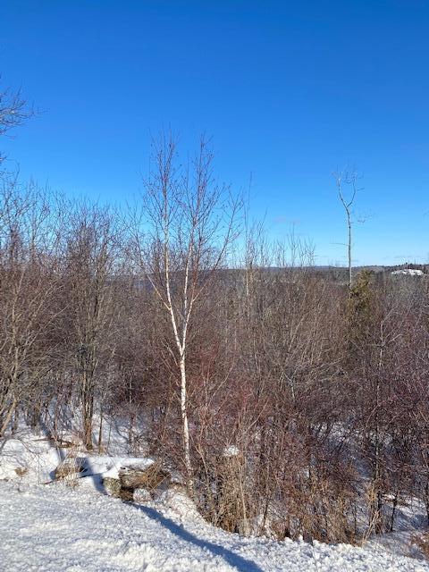 0 Rt 174 Route Prospect, ME 04981 - Photo 12 of 13 IMG_2444