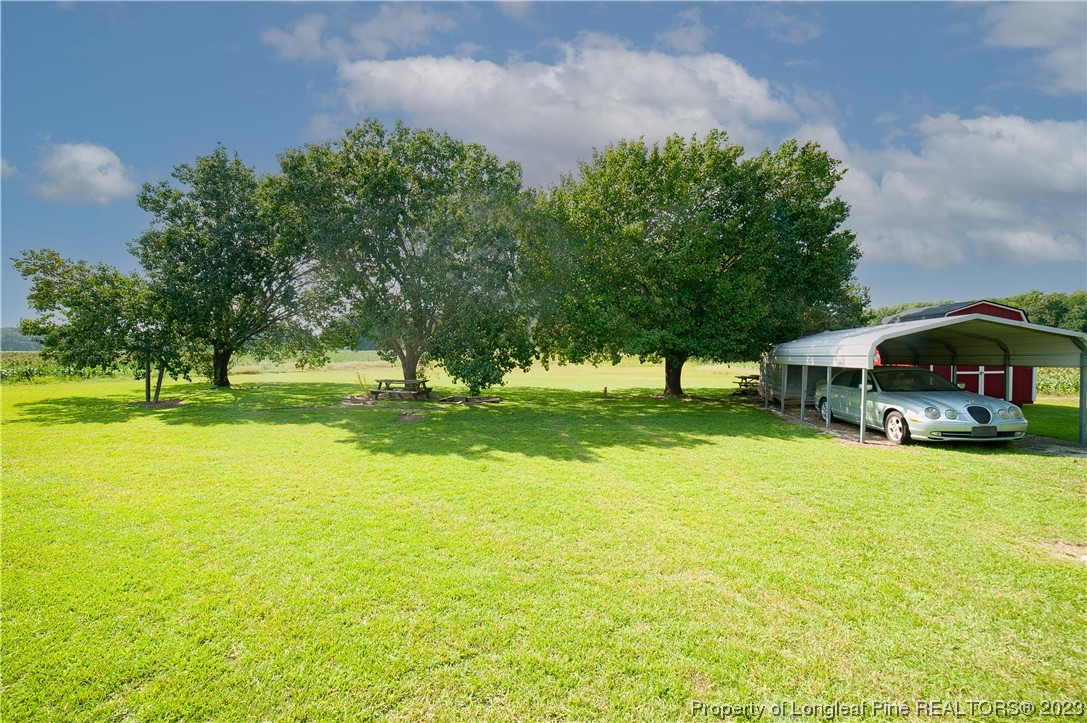 6253 Dunn Road Wade, NC 28395 - Photo 31 of 33 Gallery Image 31