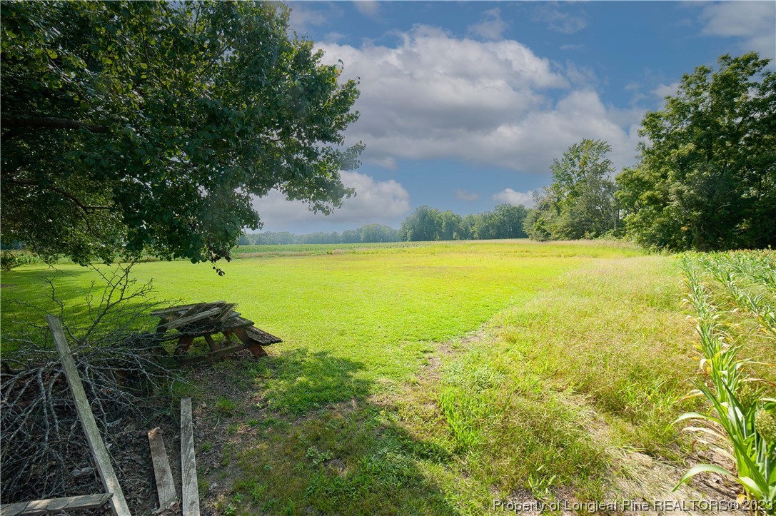 6253 Dunn Road Wade, NC 28395 - Photo 32 of 33 Gallery Image 32