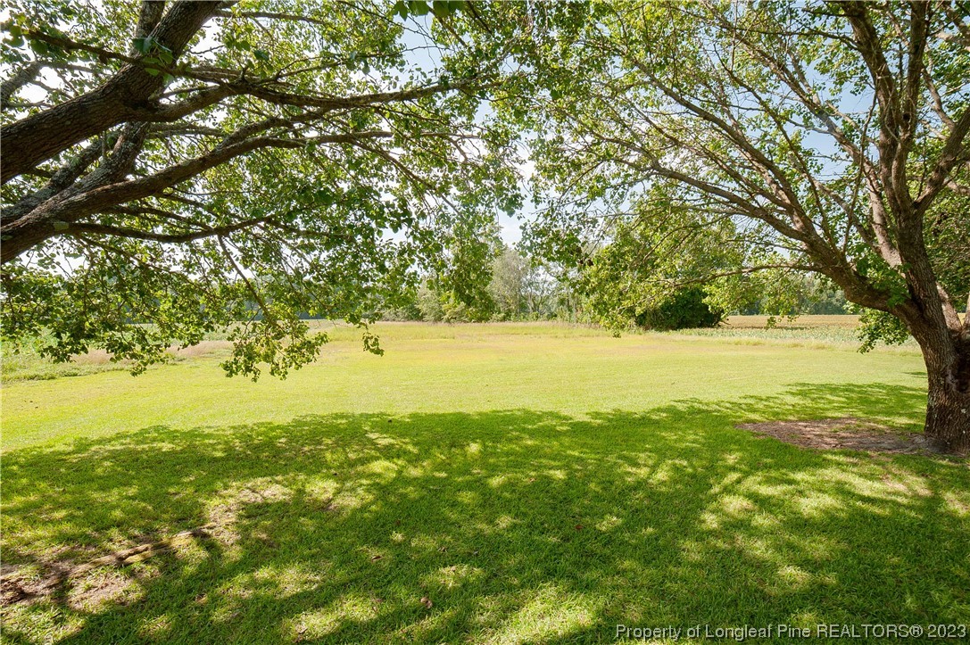 6253 Dunn Road Wade, NC 28395 - Photo 33 of 33 Gallery Image 33