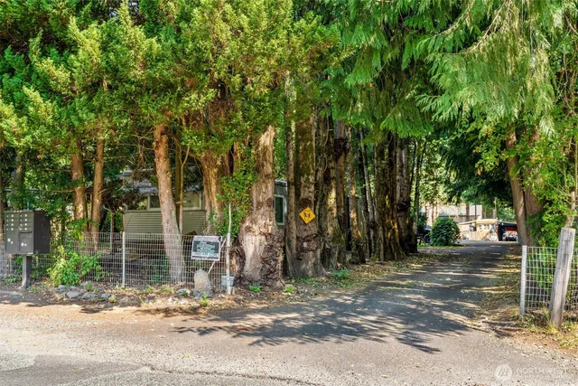 a backyard of a house with barbeque oven and large trees