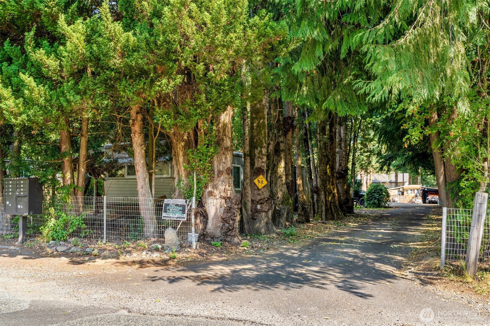334 Devoe Street Northeast Olympia, WA 98506 - Photo 3 of 29 a backyard of a house with barbeque oven and large trees