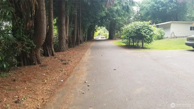 a view of a house with backyard and tree
