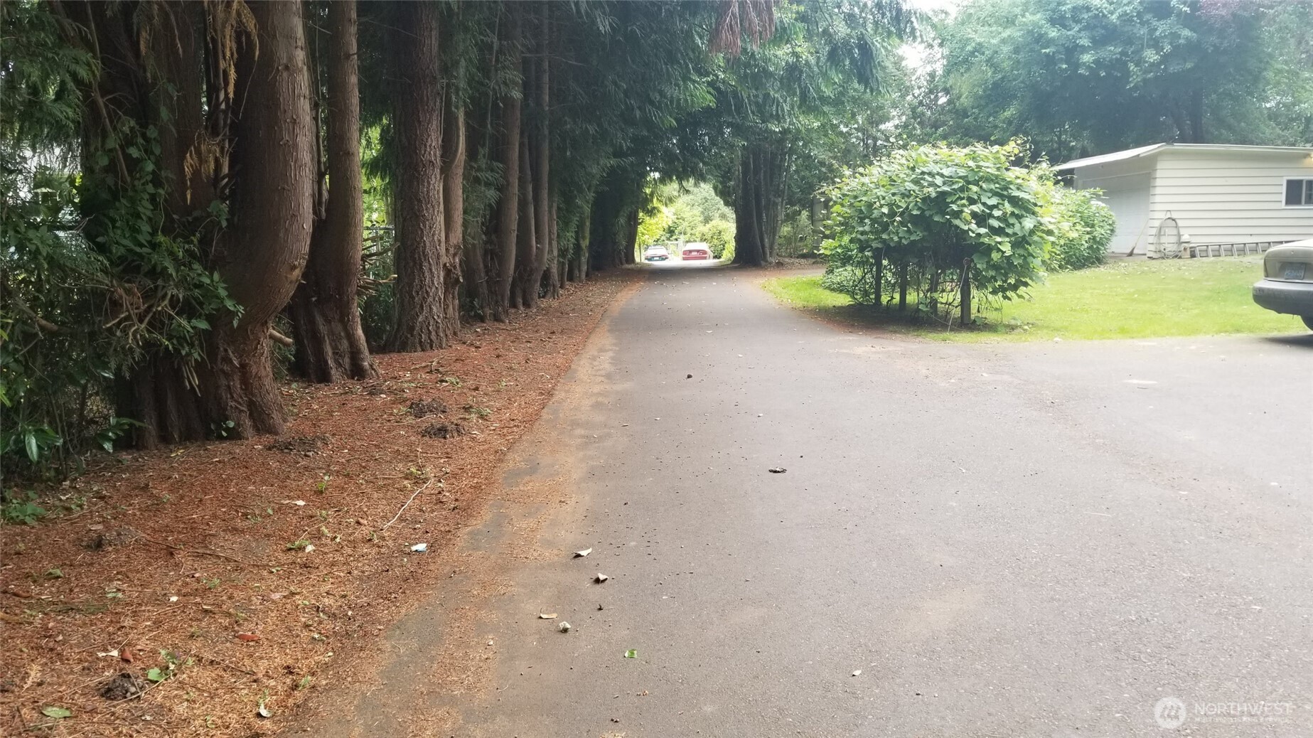 334 Devoe Street Northeast Olympia, WA 98506 - Photo 5 of 29 a view of a house with backyard and tree