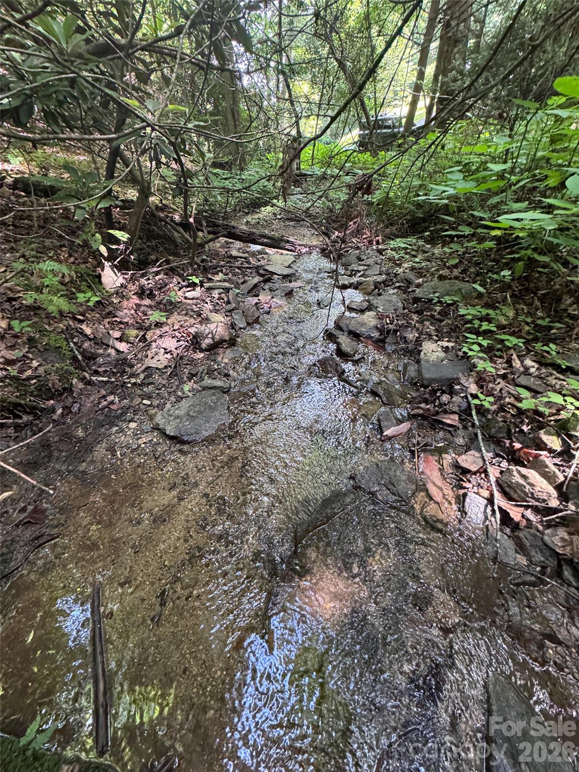 10 A Reserve Road Pisgah Forest, NC 28768 - Photo 1 of 33