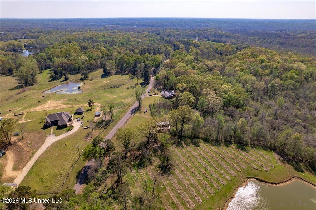 2081 Johnston Road Benton, MS 39039 - Photo 29 of 32 36-DJI_0997-HDR