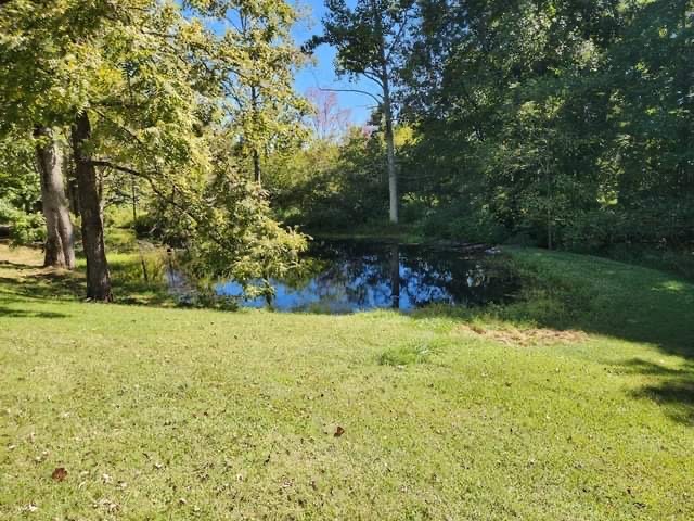 139 Durham Road Leoma, TN 38468 - Photo 8 of 46 Gallery Image 8