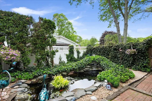 a view of a garden with plants