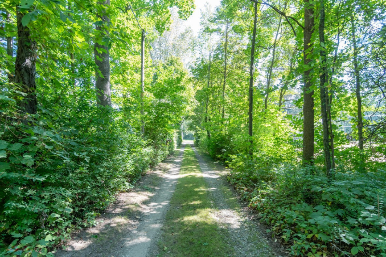 10304 Baldwin Road Bridgman, MI 49106 - Photo 35 of 36 10304 Baldwin-35