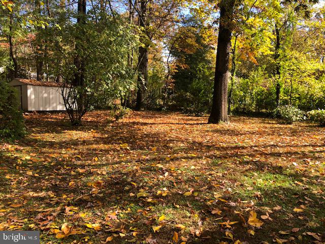 7718 Bellington Court Springfield, VA 22151 - Photo 3 of 33 Backyard