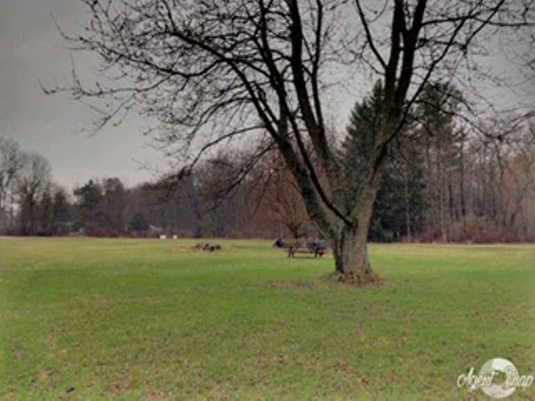 6365 West Frances Road Clio, MI 48420 - Photo 48 of 54 31376735-47.JPG