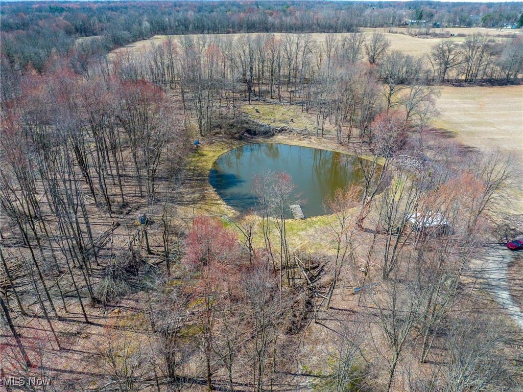 Moff Road Road Atwater, OH 44201 - Photo 25 of 33 Bird's eye view with a water view